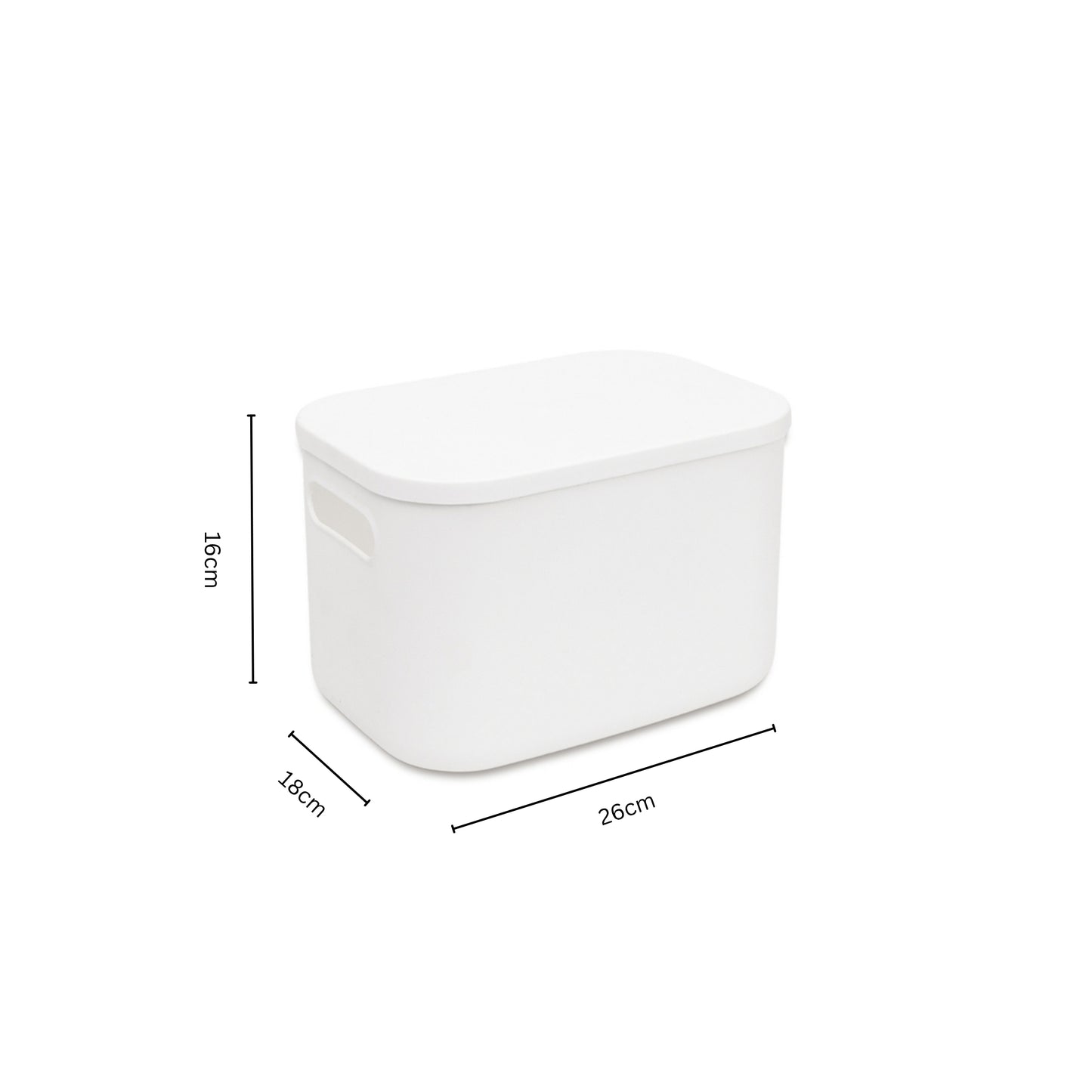 Storage Bin with Lid Bundle