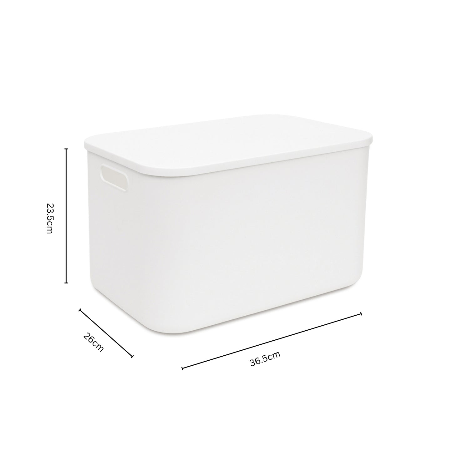 Storage Bin with Lid Bundle