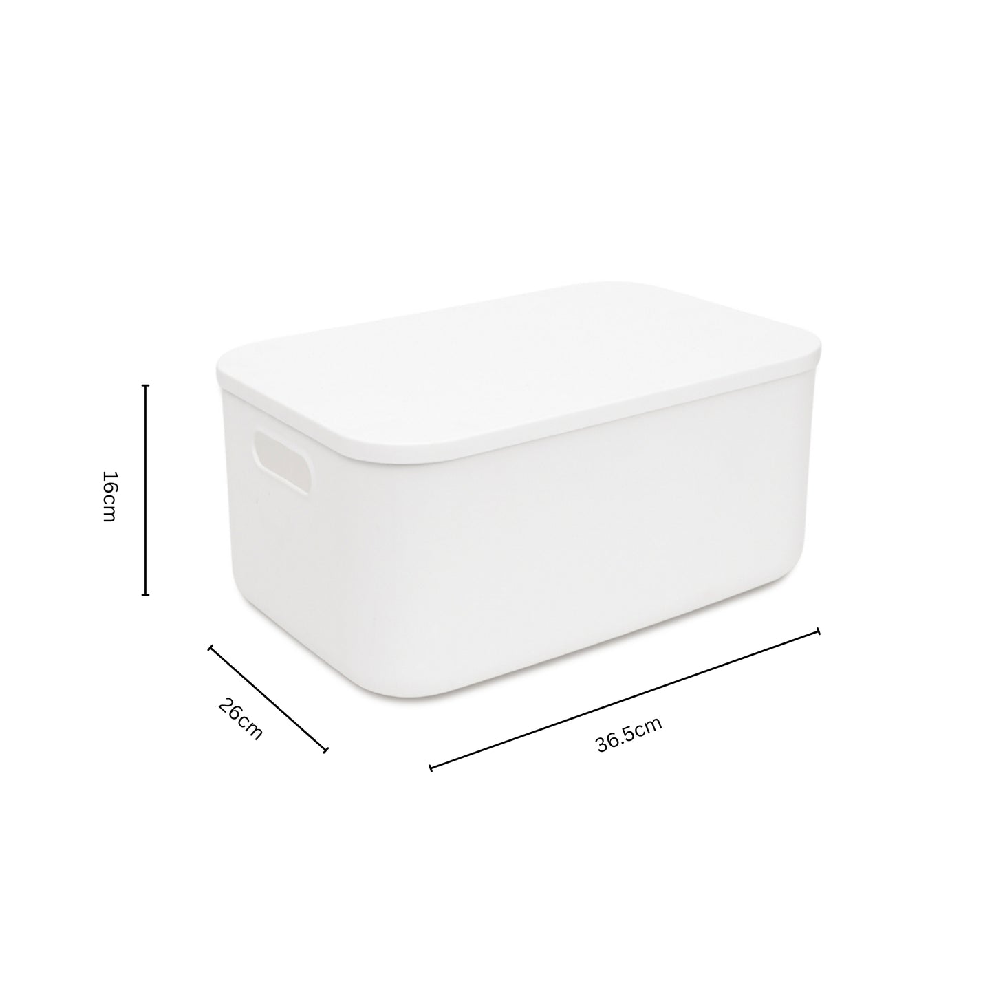 Storage Bin with Lid Bundle