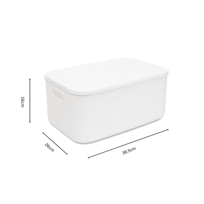 Storage Bin with Lid Bundle