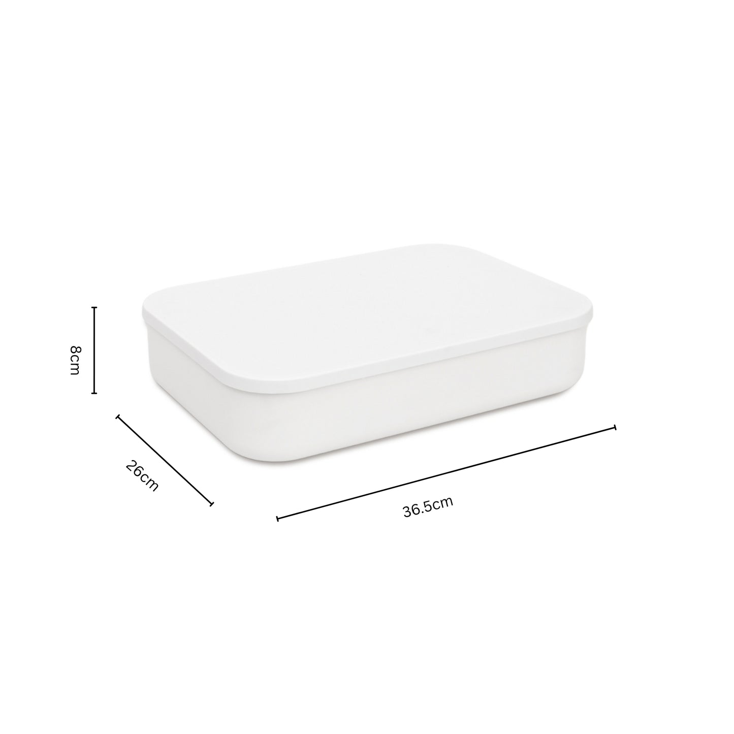 Storage Bin with Lid Bundle