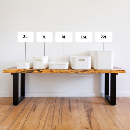 Storage Bin with Lid