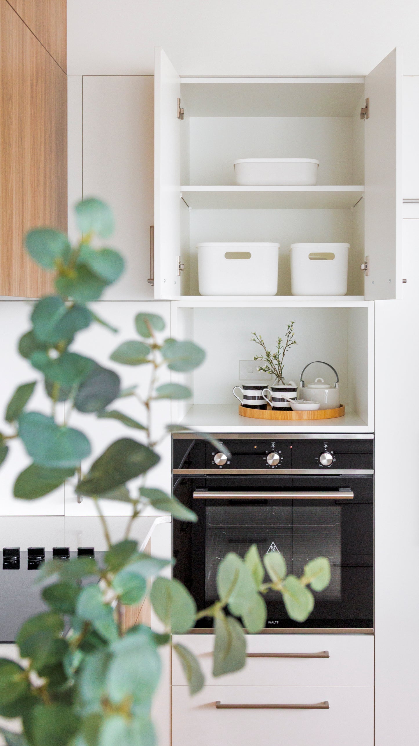 Storage Bin with Lid Bundle