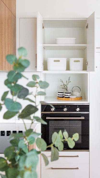 Storage Bin with Lid Bundle