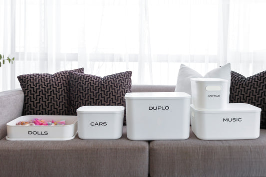 Storage Bin with Lid Bundle