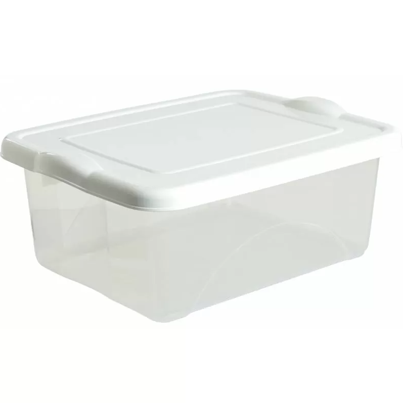 Clear Storage Container with Lid